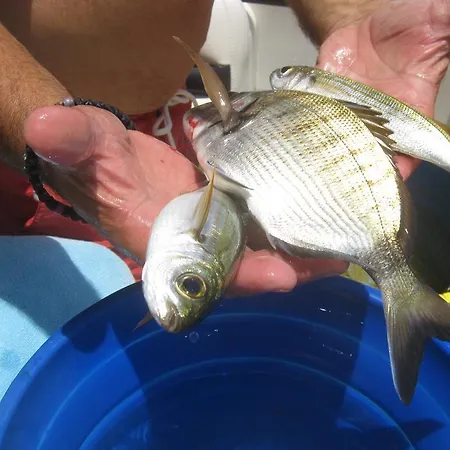 Apart-hotel Aegean Star 3*