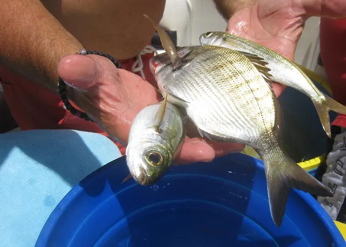 Aparthotel Aegean Star 3*